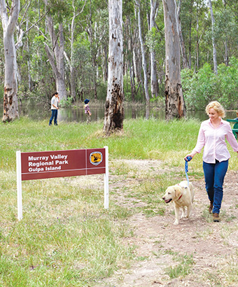 A woman walks a dog on a leash at Gulpa Island picnic area, Murray Valley Regional Park. Photo: David Finnegan &copy; DPIE